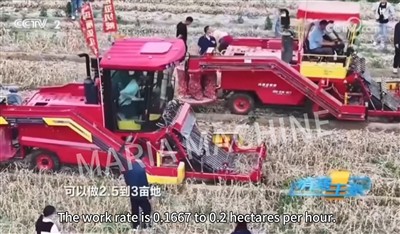 O 0.02 Hectar y Dydd I 0.2 Hectar yr Awr: Chwyldro Cynhaeaf Maria