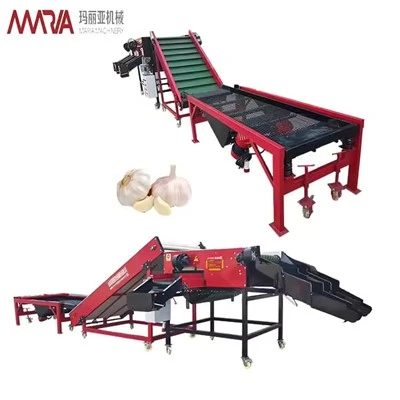 China ffynhonnell China Sorter Garlleg OEM Gwasanaeth Lyser Logo Engrafiedig Hyfforddiant Technegol Am Ddim Ymhlith y Trefnwr Garlleg