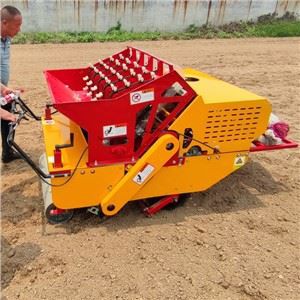 Peiriant Tyfu Garlleg Hunanyriant